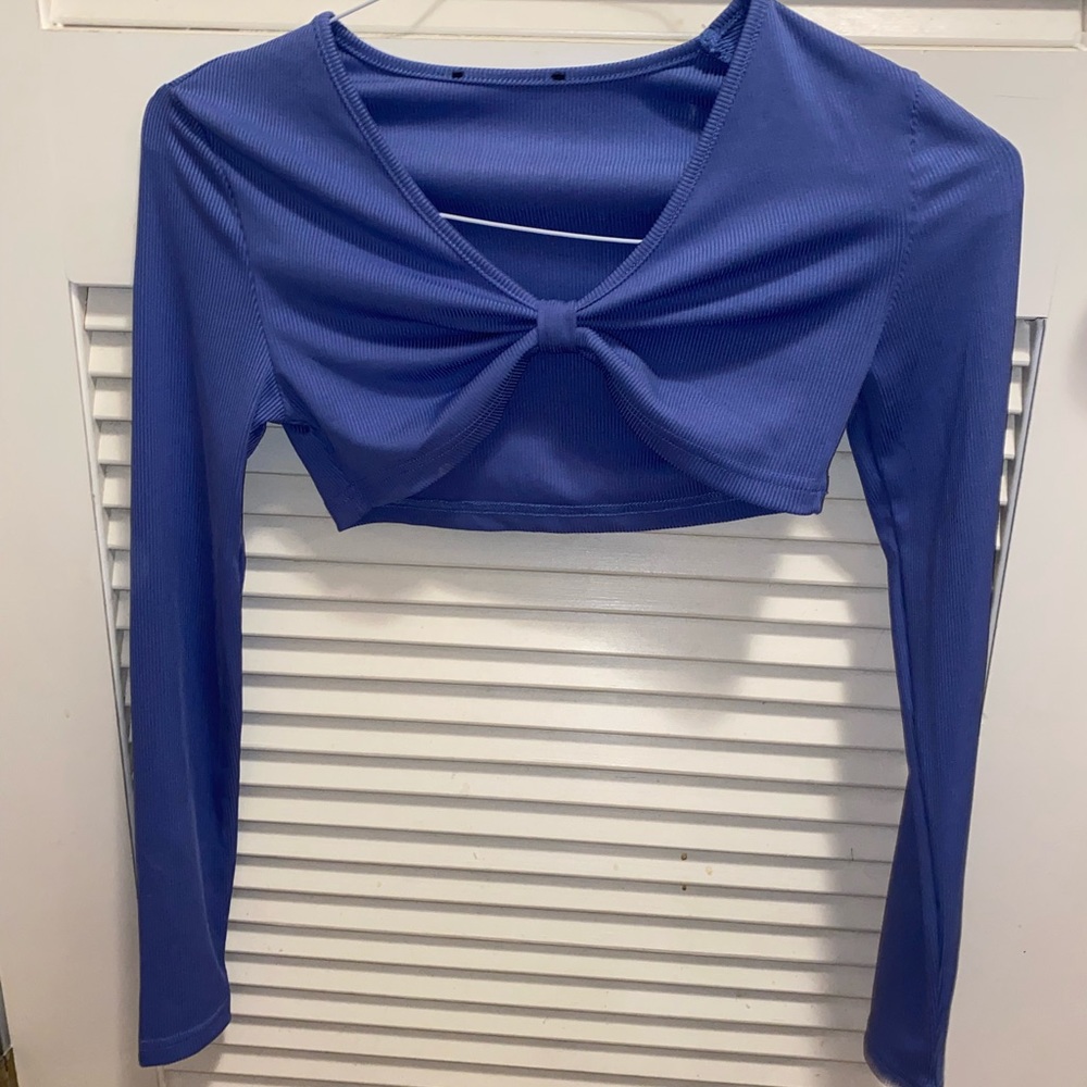 Blue Cropped Long Sleeve Top